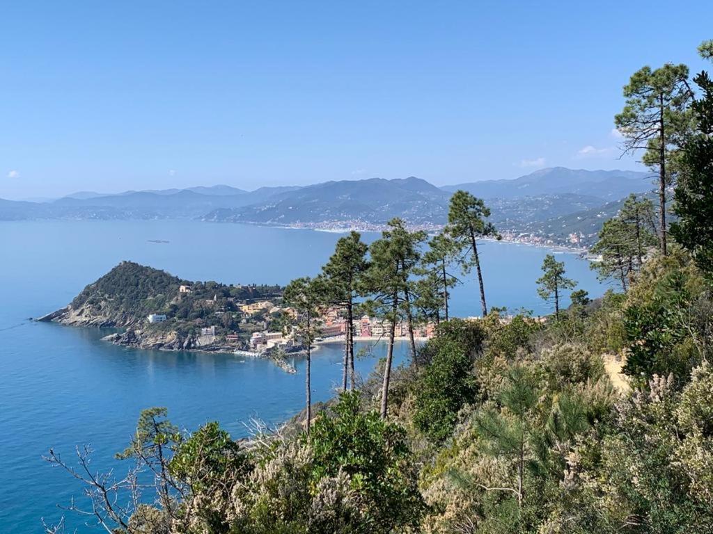 La Pergola Dei Paggi Villa Sestri Levante Luaran gambar